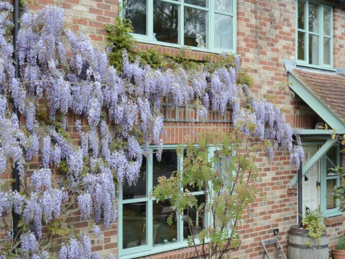 5 Charlton Mill Way B&B Chichester Eksteriør billede